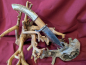 Preview: Messer mit Geweihgriff MG-5000